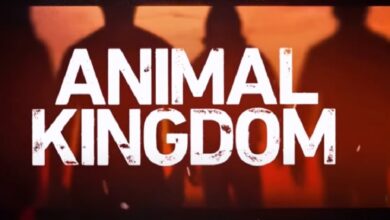 Animal Kingdom Season 7
