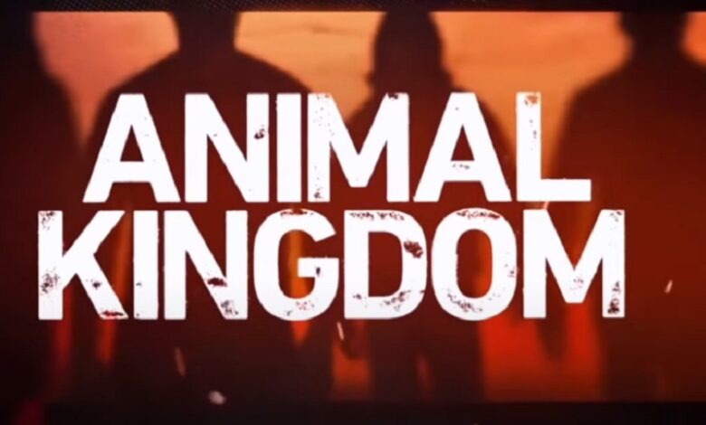 Animal Kingdom Season 7