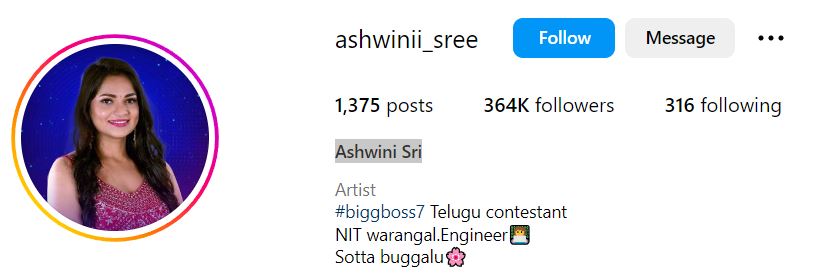 Ashwini Sree's Instagram account