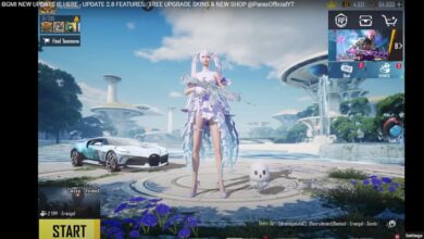 Bgmi 2.8 Update Release Date