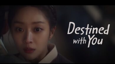 Destined With You Episode 16 Release Date