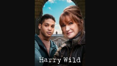 Harry Wild Season 2 Episode 5 Release Date