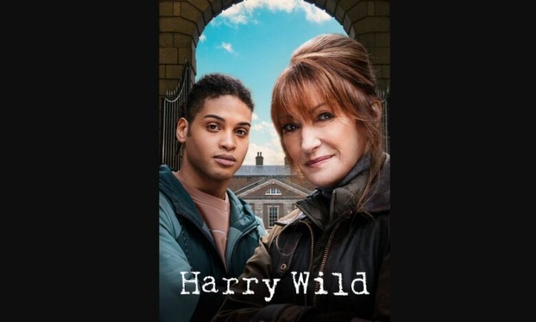 Harry Wild Season 2 Episode 5 Release Date