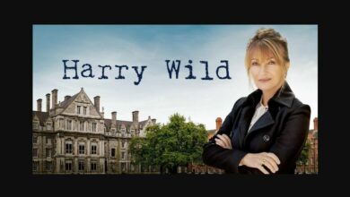 Harry Wild Season 2 Episode 6 Release Date