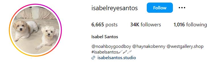 Isabel Santos' Instagram account