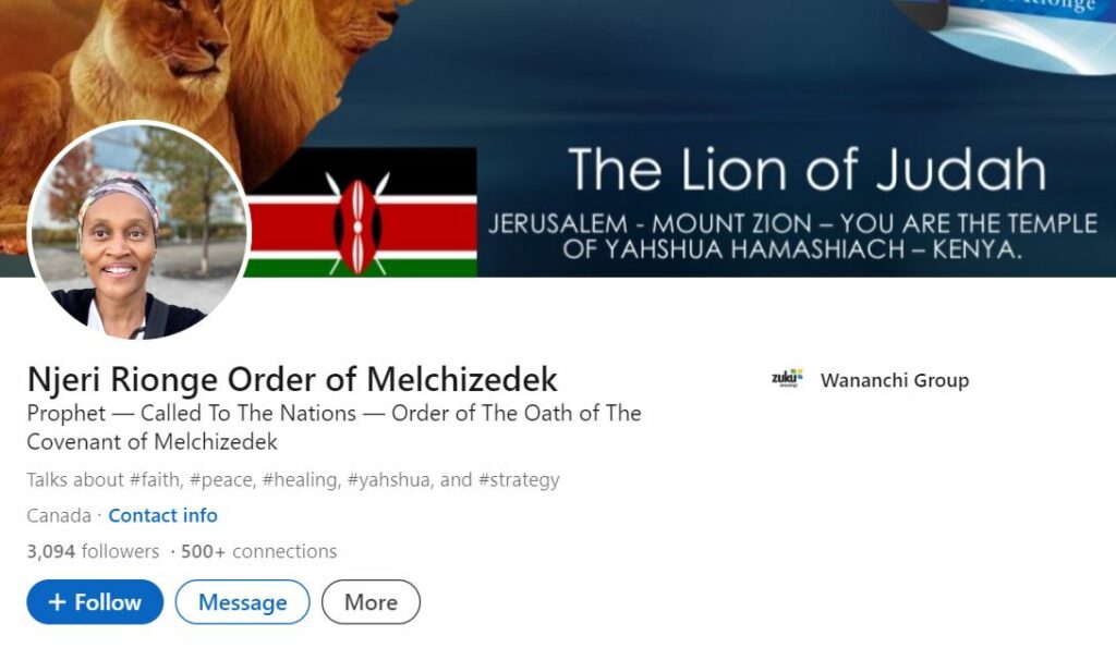 Njeri Rionge's LinkedIn profile