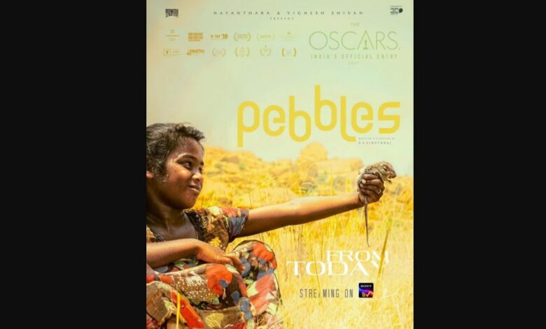 Pebbles Movie (2023)