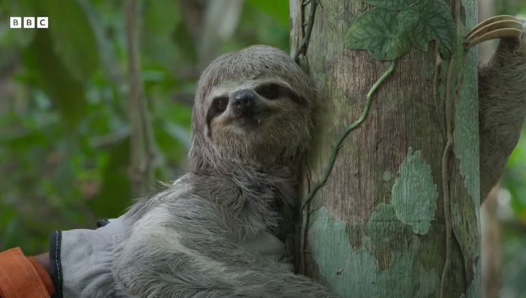 Planet Earth 3 Images and Trailer