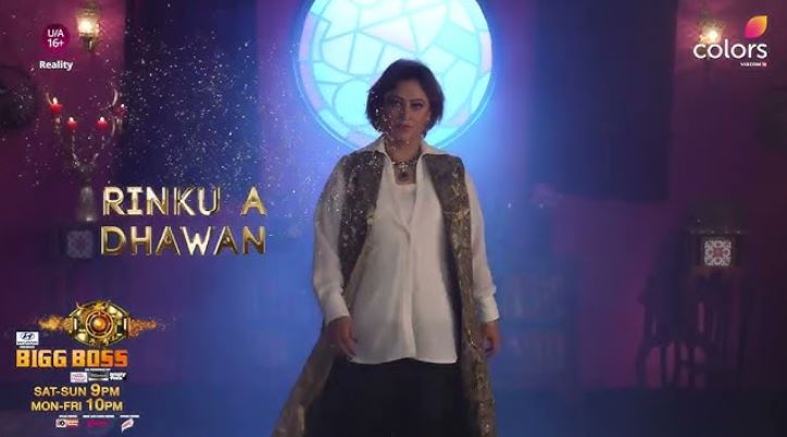 Rinku Dhawan appeared in Bigg Boss 17