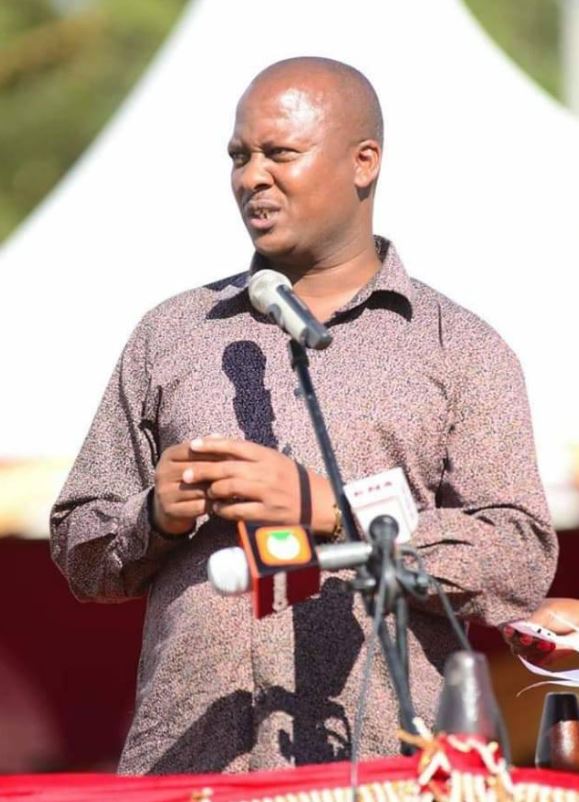 Stephen Ole Kudate career