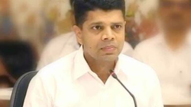 VK Pandian