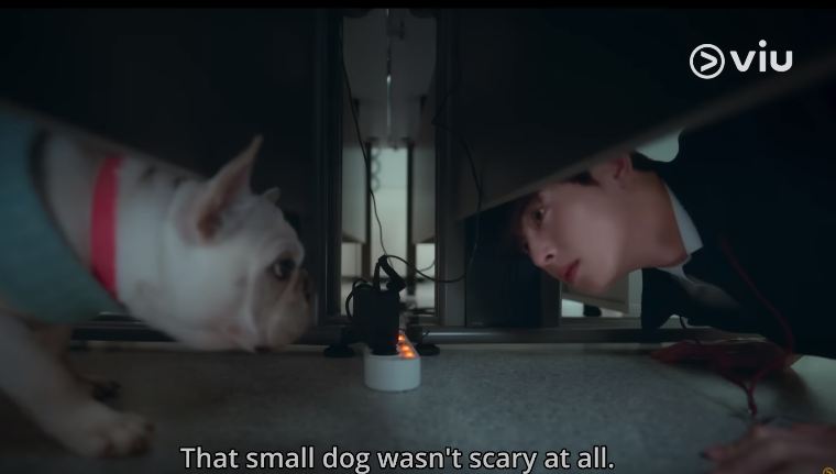 When and Where to Watch A Good Day to Be a Dog Episode 4