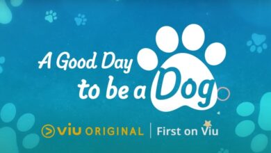 A Good Day to Be a Dog Episode 15 & 16 Release Date