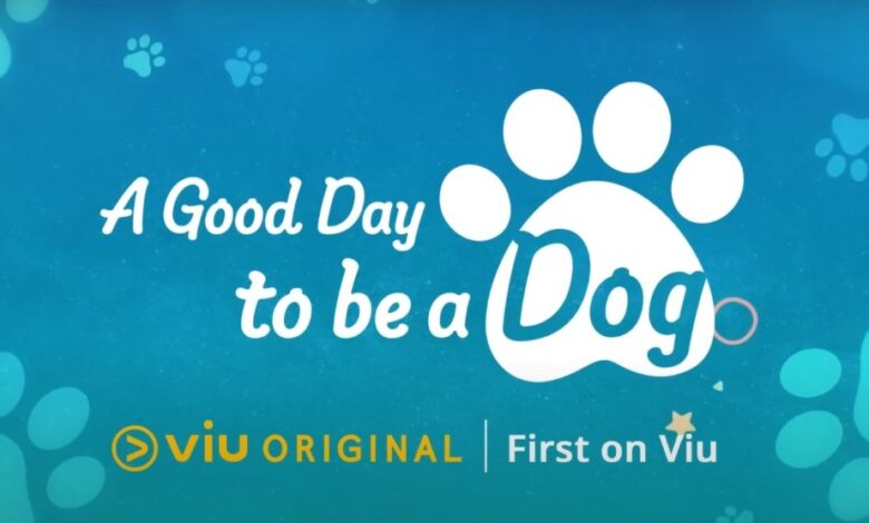 A Good Day to Be a Dog Episode 15 & 16 Release Date