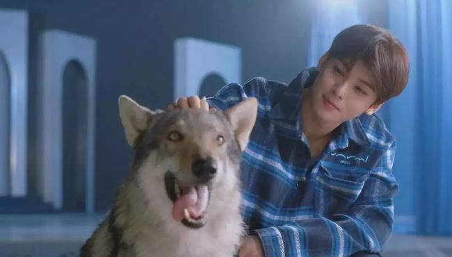 A Good Day to Be a Dog Season 2 spoiler