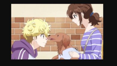 Dog Signal Season 2