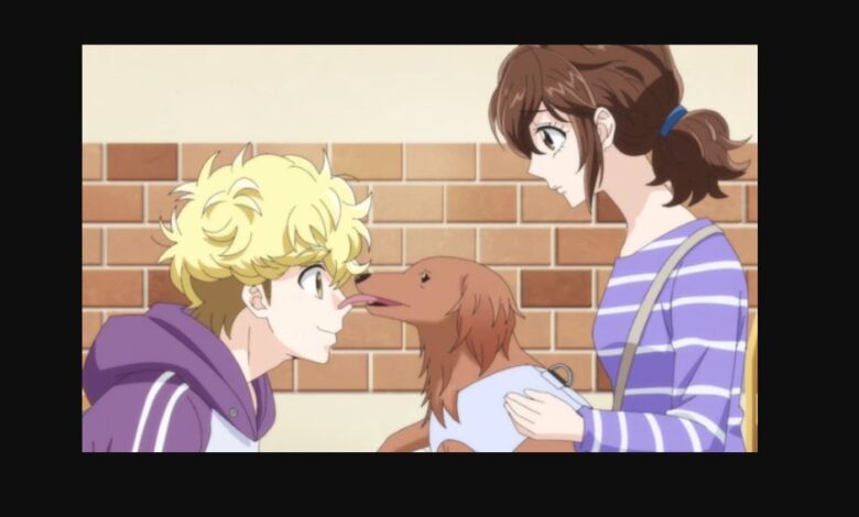 Dog Signal Season 2