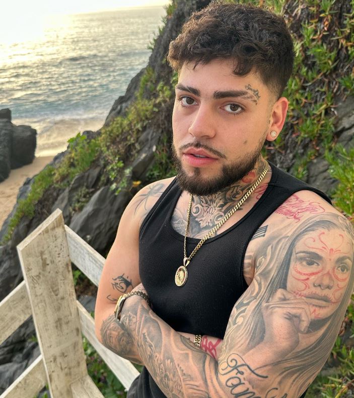 Gino Mella career