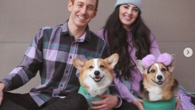 Hammy And Olivia Dog Death Reason, Obituary What Happened to Olivia