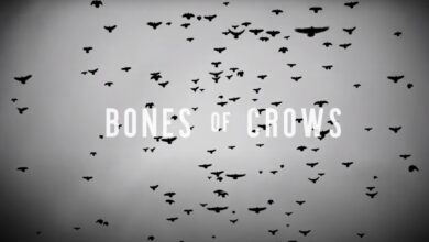Is Bone of Crows Season 2 on hold Bone of Crows (2022) Season 2
