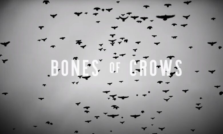 Is Bone of Crows Season 2 on hold Bone of Crows (2022) Season 2