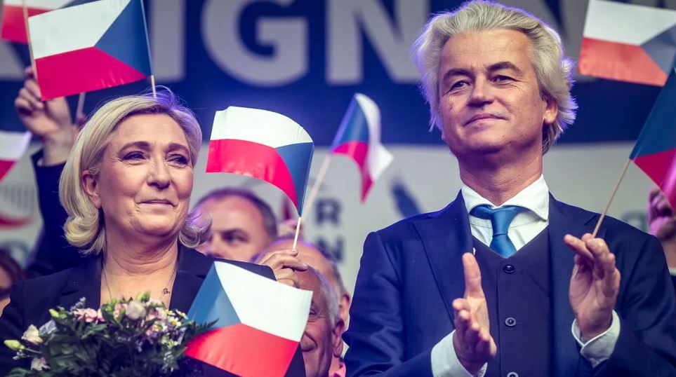 Krisztina Wilders career