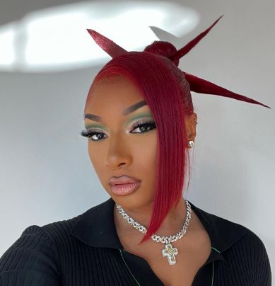 Megan Thee Stallion bio