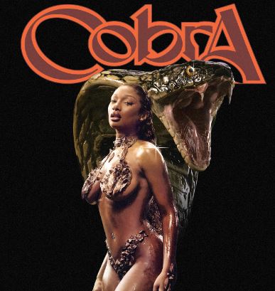 Megan Thee Stallion new album Cobra