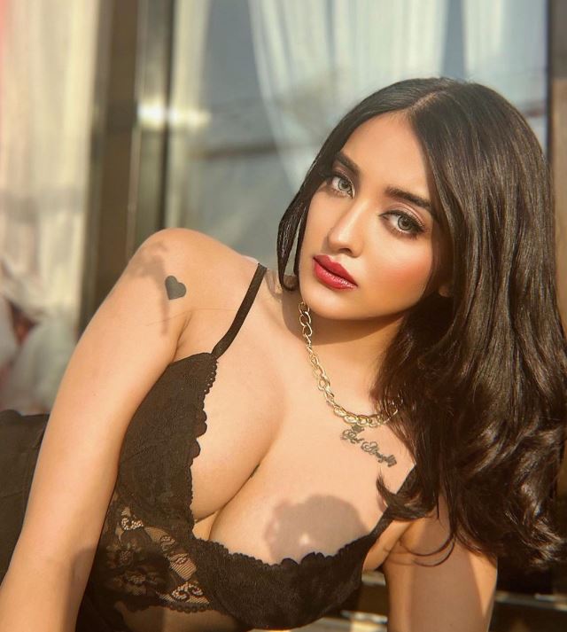 Nikita Bhamidipati biography