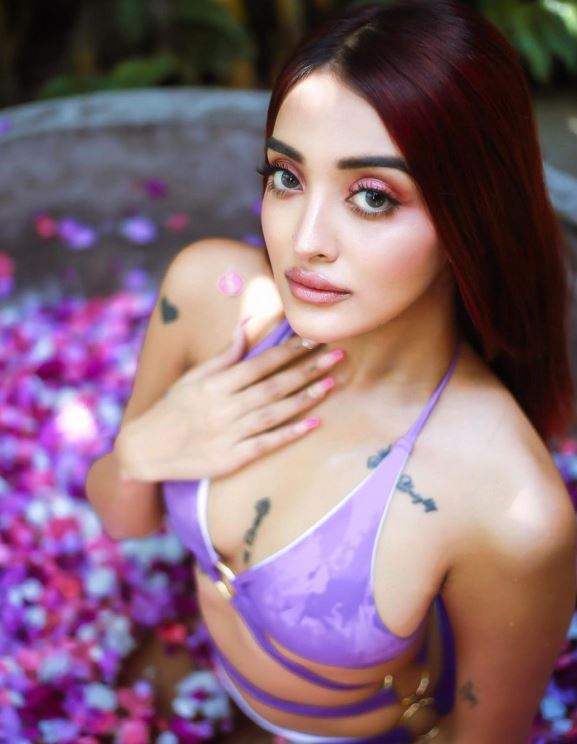 Nikita Bhamidipati wiki