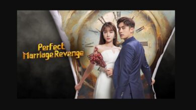 Perfect Marriage Revenge Episode 13 & 14