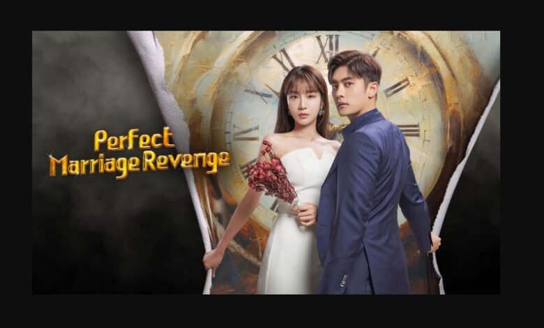 Perfect Marriage Revenge Episode 13 & 14
