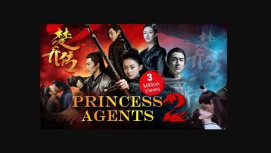 Princess Agents Season 2 Release Date