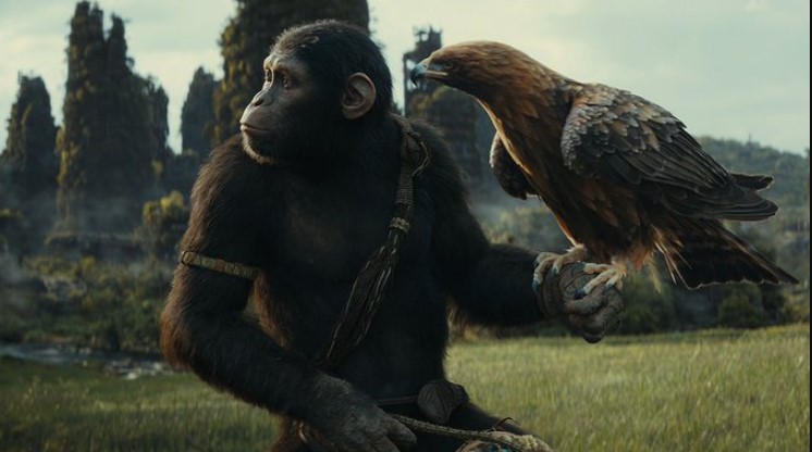 Spoiler of Kingdom of the Planet of the Apes