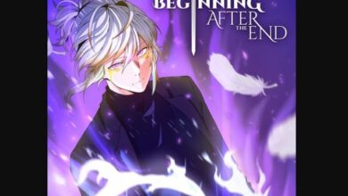 The Beginning After The End Chapter 176
