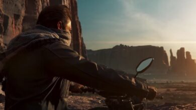 Tiger 3 Box Office Collection Day 5 in India and Worldwide