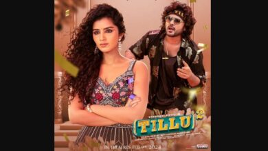 Tillu Square Movie (2023)