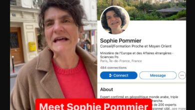 Who is Sophie Pommier The Woman Who Tore Down a Kidnapped Kid Poster in Philadelphia