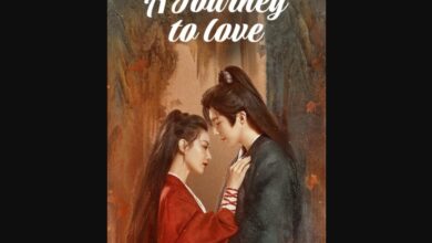 A Journey to Love