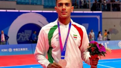 Amirmohammad Zafardanesh