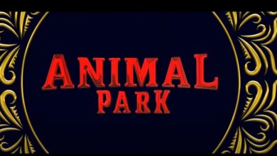 Animal Park Release Date