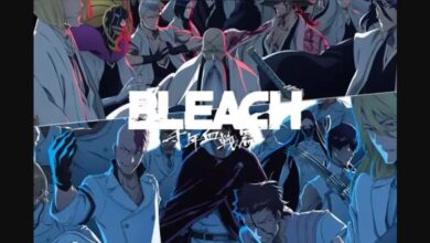 Bleach Thousand Year Blood War Season 3