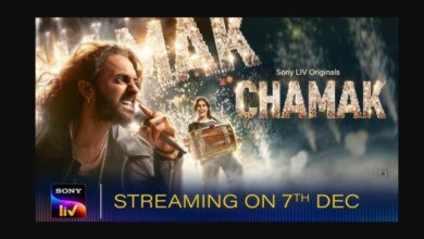 Chamak Web Series (2023) On Sony Liv