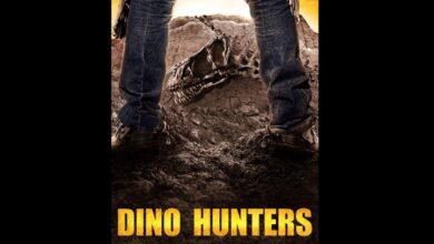 Dino Hunters Season 3 Release Date