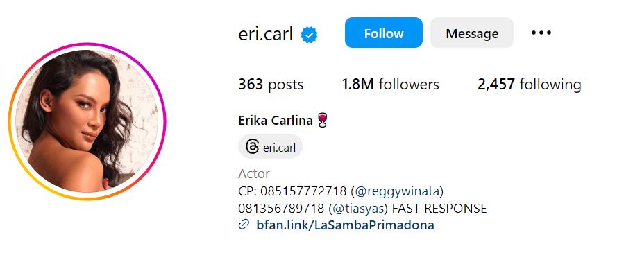 Erika Carlina's Instagram account