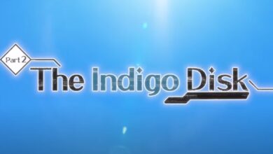 Exploring Indigo Disk