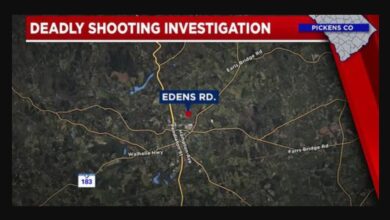 How Lisa Young and Brian Davis Ended Their Lives Together in a Wooded Area