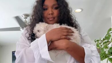 Lizzo Grieves Dedicates Her Next Album to Pooka, Her Dog Who Died of Cancer