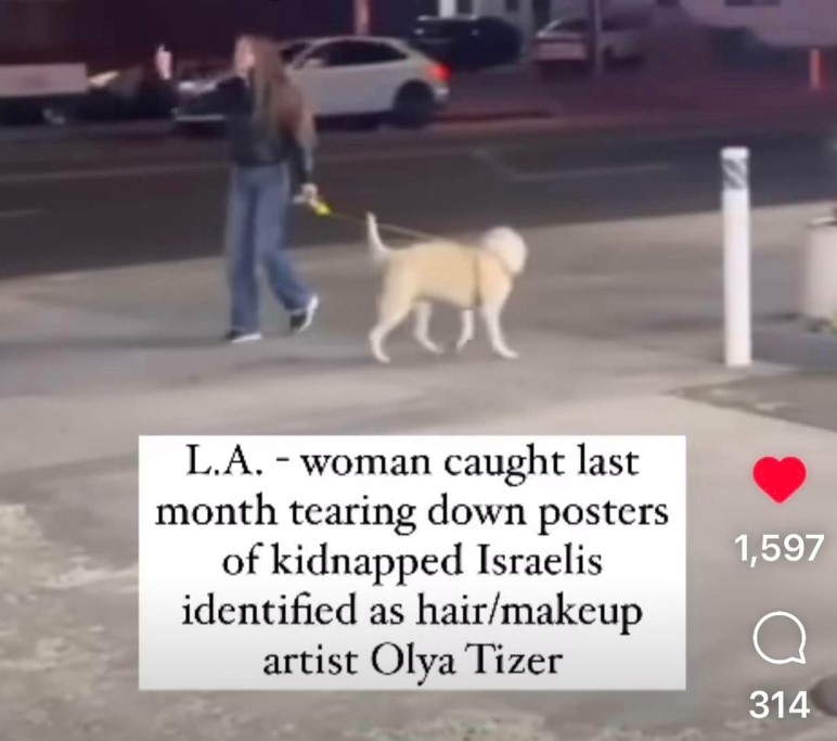 Olya Tizer News