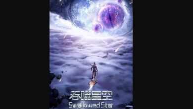 Swallowed Star Season 4 Release Date